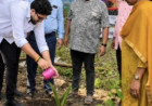 डोंबिवली बसस्थानक परिसरात वृक्षारोपण