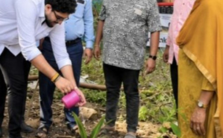 डोंबिवली बसस्थानक परिसरात वृक्षारोपण