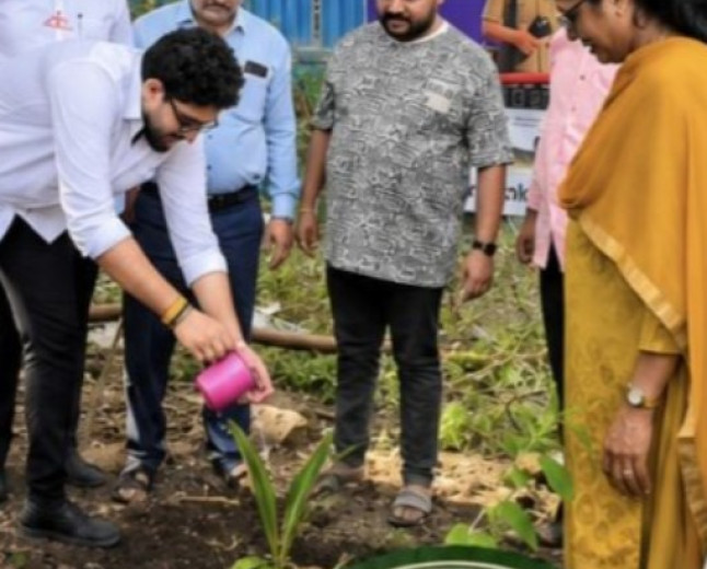 डोंबिवली बसस्थानक परिसरात वृक्षारोपण